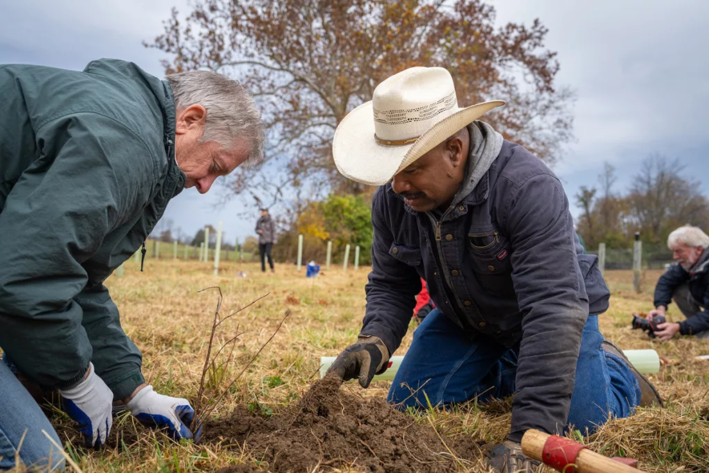 Call for Volunteers: Upcoming Tree Plantings in Rappahannock County