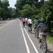 group of people biking down a bike lane