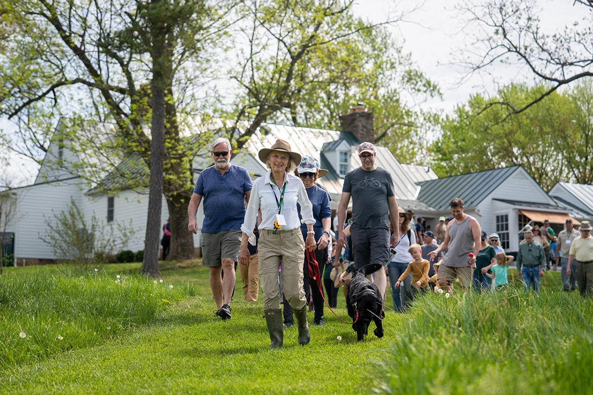 a group walks from a farm house through a grassy field