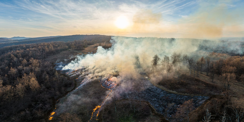 Video: Prescribed Burn at the Piedmont Memorial Overlook