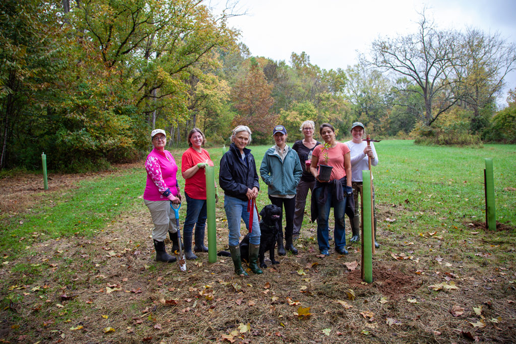 Bonny Brook Tree Planting