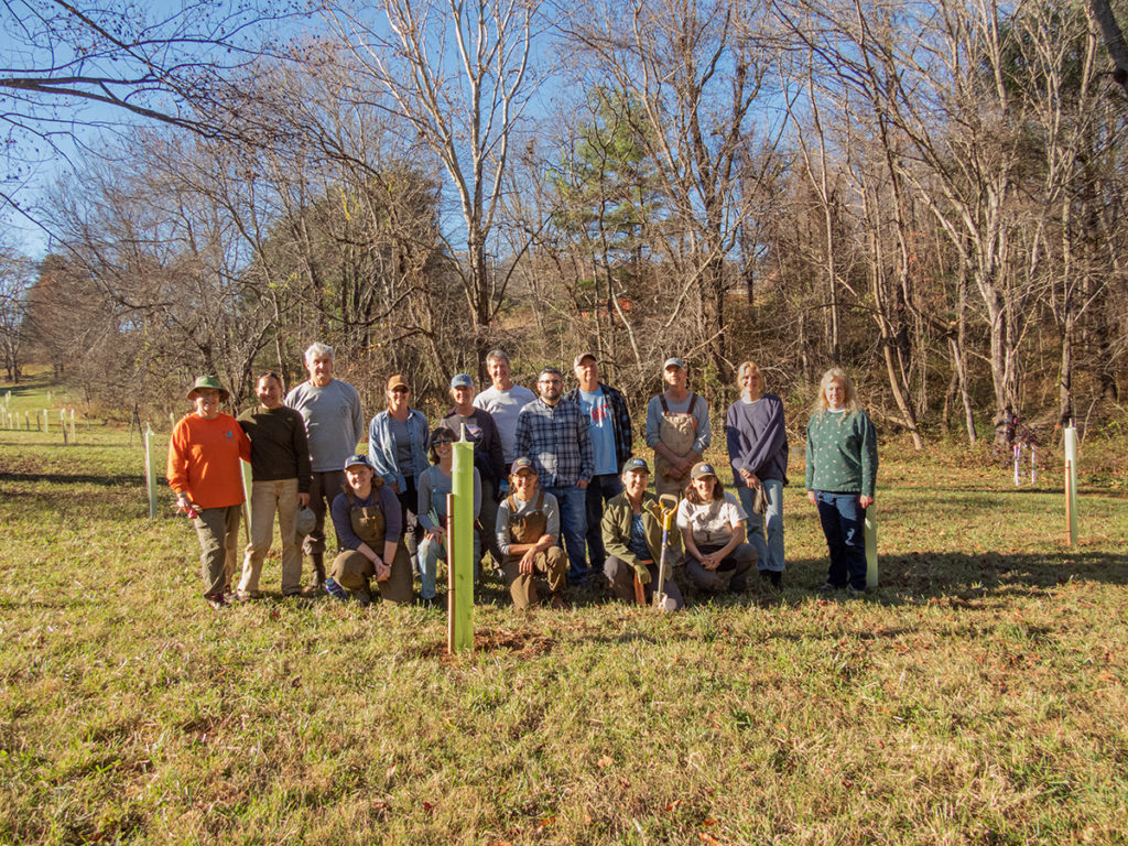 Hundreds of Trees Planted at Lane Property
