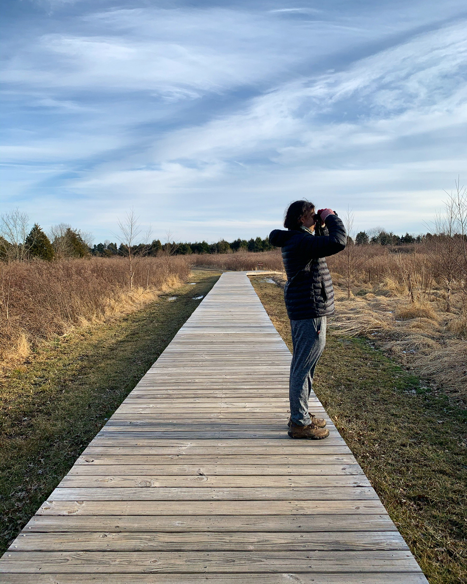 a person with binoculars looks off a wood trail platform