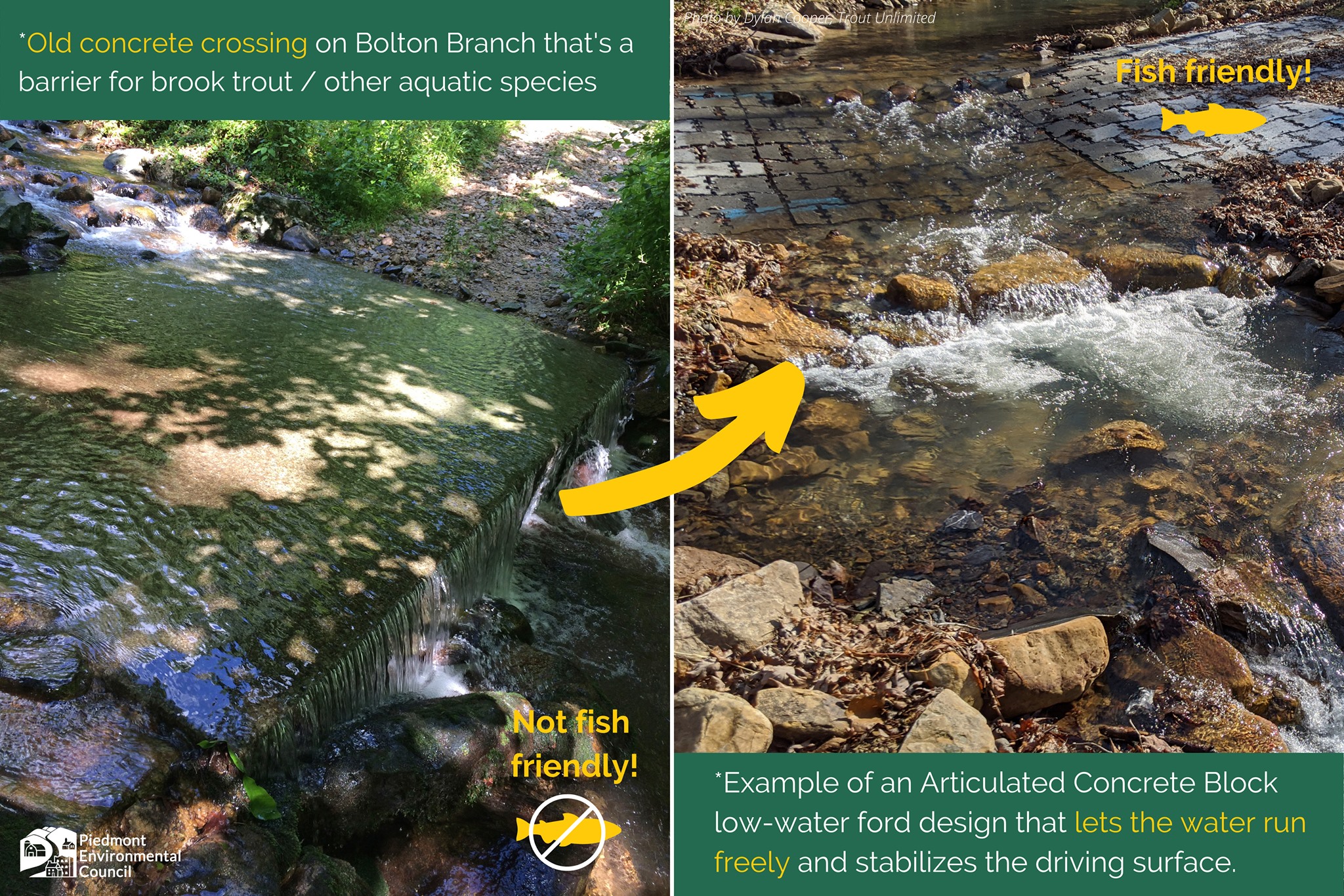 Trout Stream Restoration Gifts Doubled Through May 31 The Piedmont
