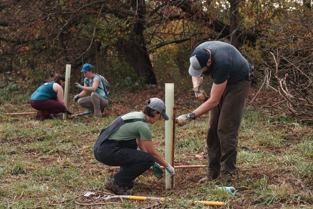 Clarke County Land Conservation Fund