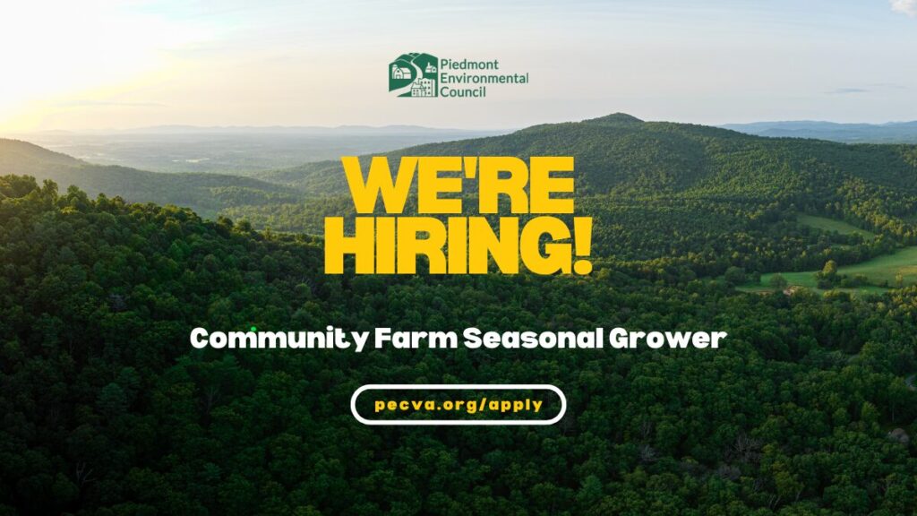 We’re Hiring: Community Farm Seasonal Grower