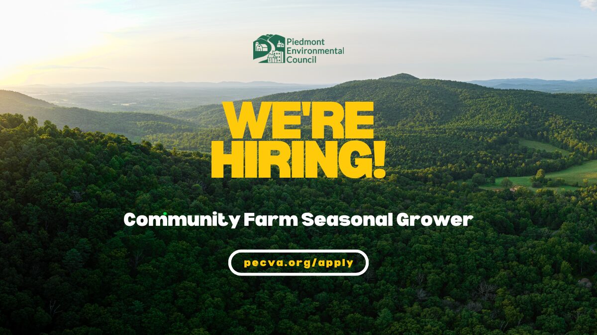 We're Hiring: Community Farm Seasonal Grower