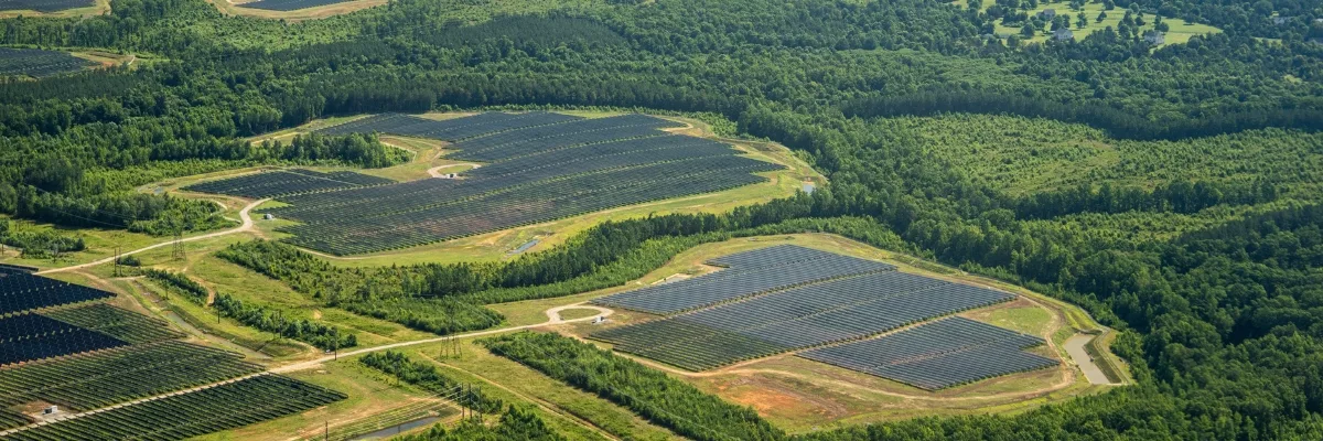 utility-scale solar array surrounded by forest