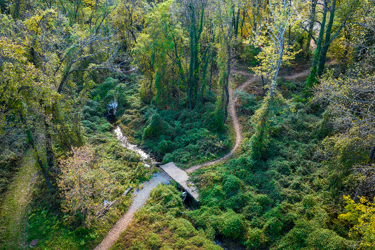 aerial showing a wooded trail