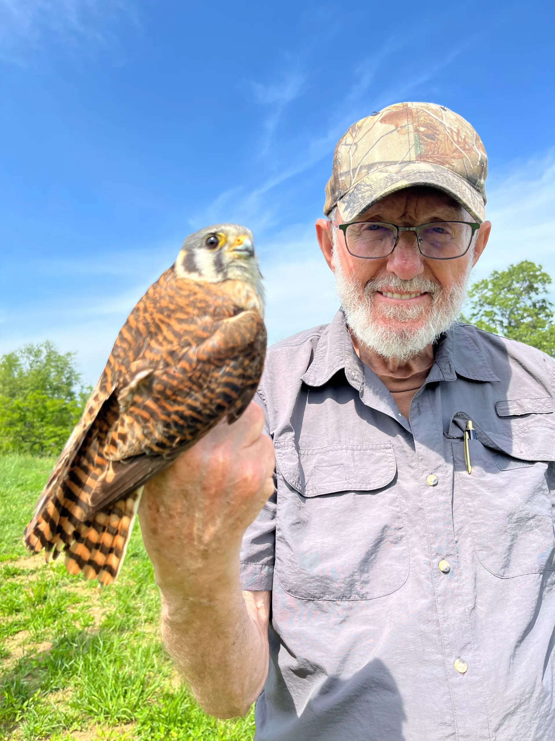 A man holds a kestrel