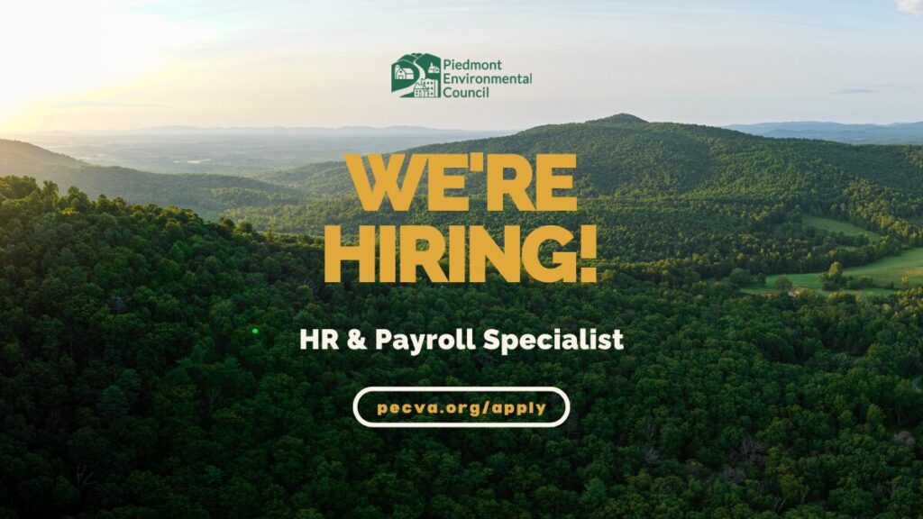 We’re Hiring: HR & Payroll Specialist