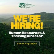 Human Resources & Training Director