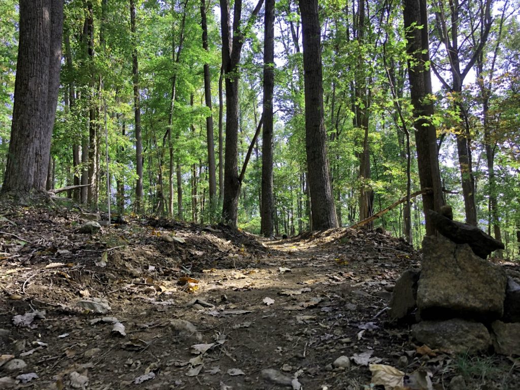 A Community Forest Grows (and Expands) on the Edge of Charlottesville