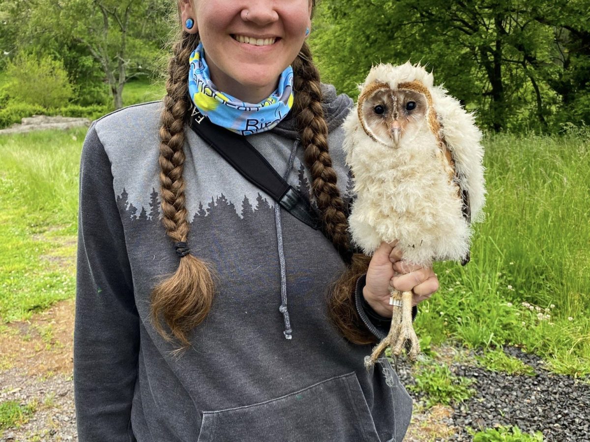 a woman holds a fluffy baby barn owl