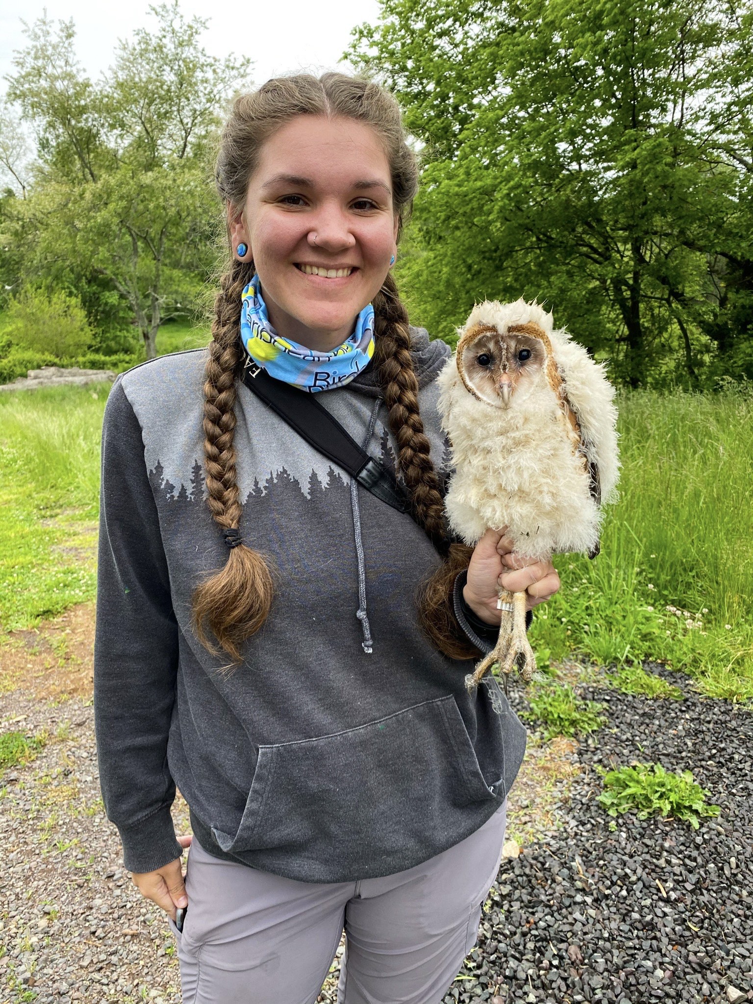 a woman holds a fluffy baby barn owl