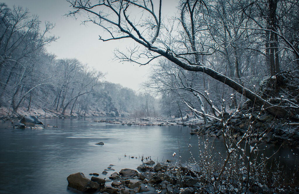 Loudoun Quarterly Update – Winter 2026