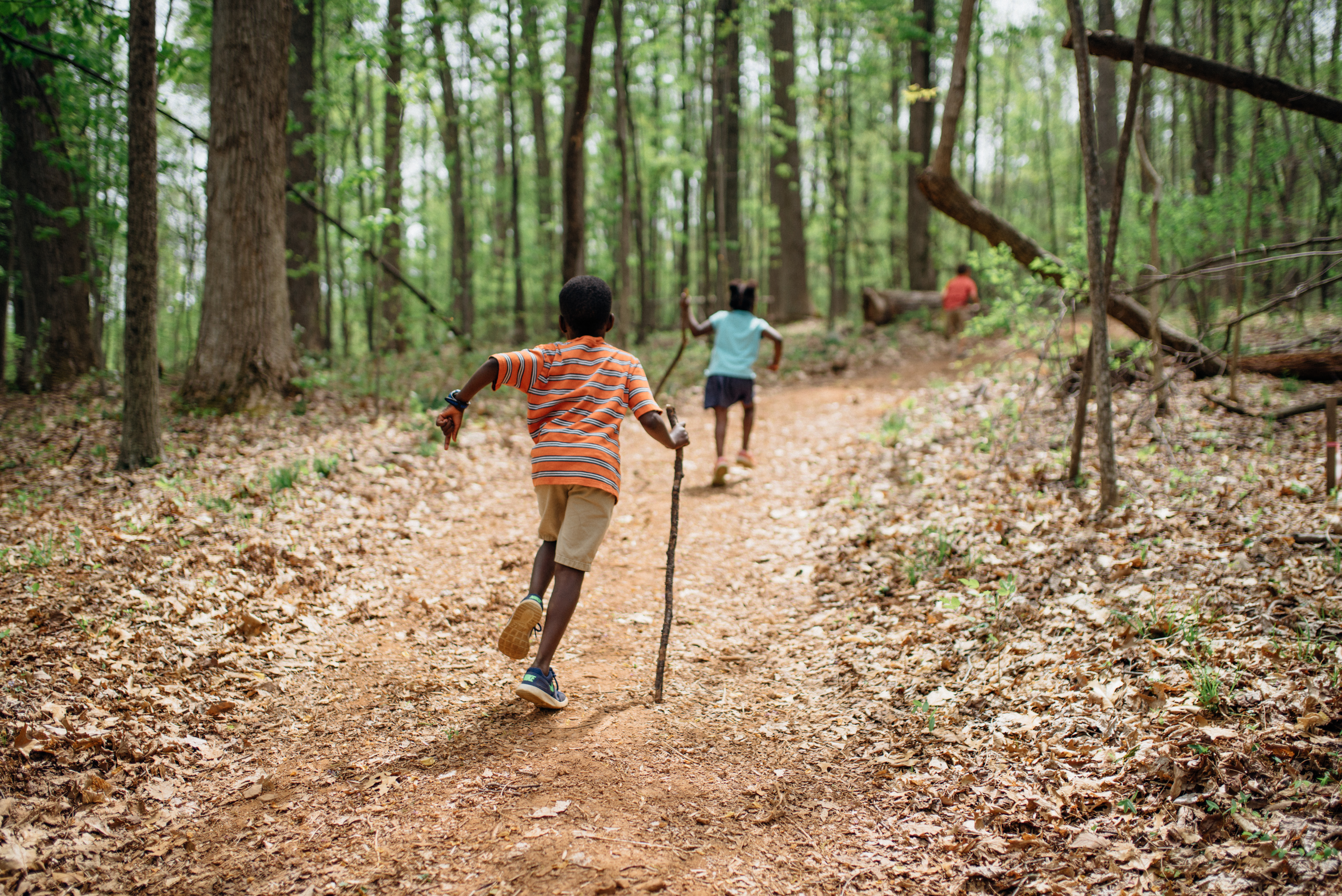 Three children run along a trail through the woods, their backs to the camera.