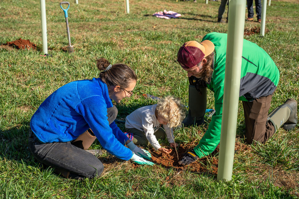 Press Release:  Volunteers wanted to help plant trees in Flint Hill, Lovettsville, and “Little” Washington