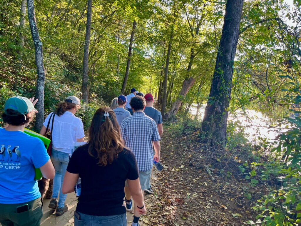 Let’s have fun in the woods!