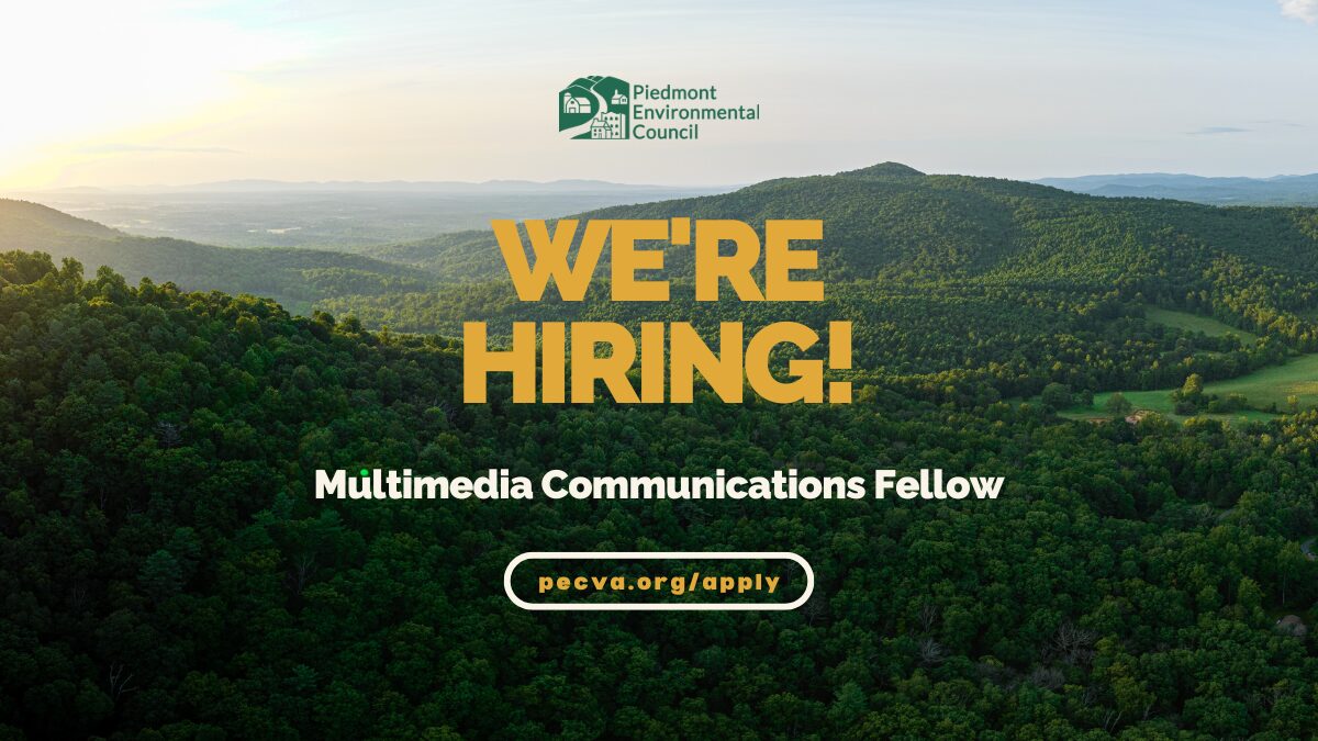 We're Hiring! Multimedia Communications Fellow. Visit www.pecva.org/apply