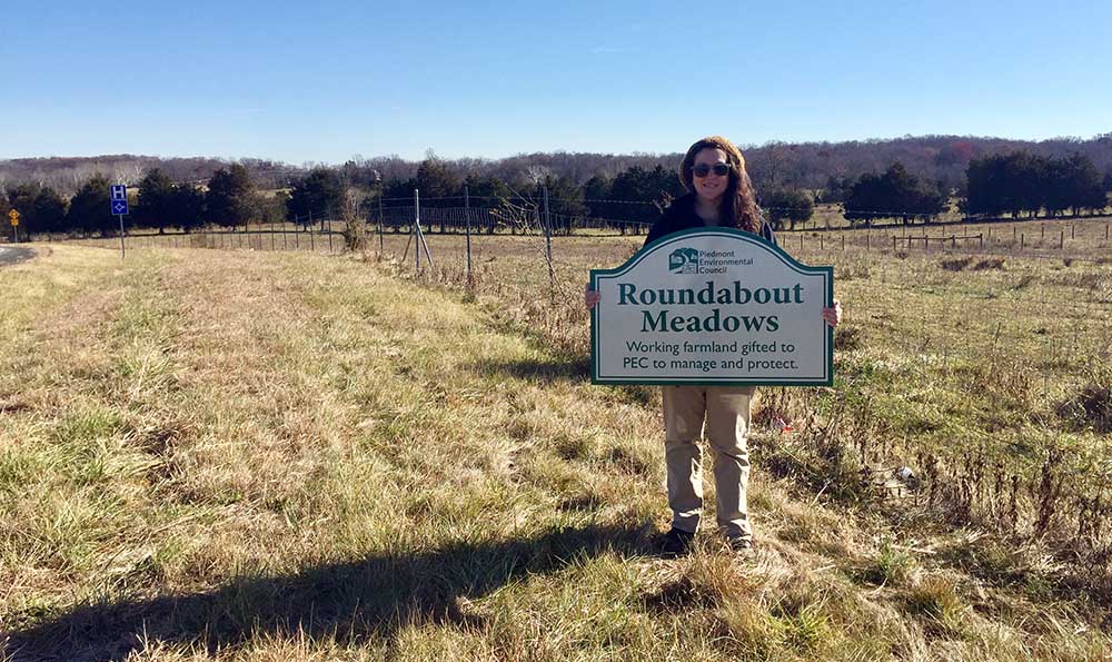 Roundabout Meadows sign in front of a meadow