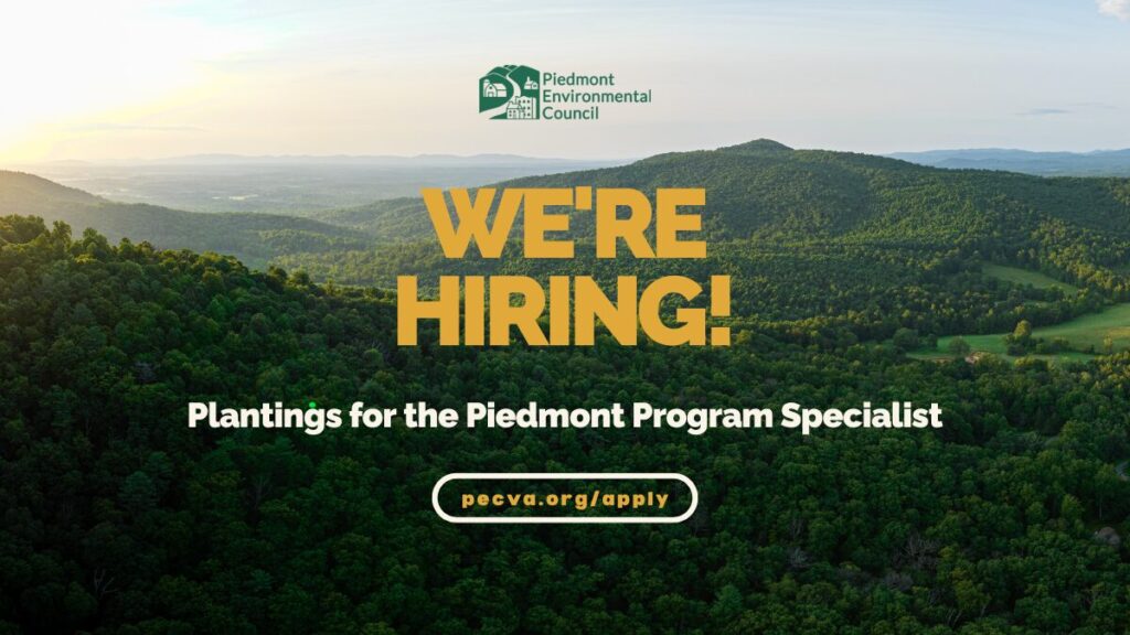 We’re Hiring: Plantings for the Piedmont Specialist