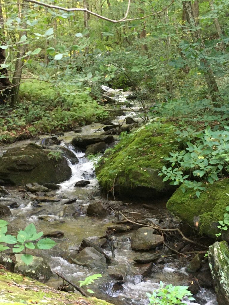 Puppy Run cascades through the Gilges property toward Moormans River