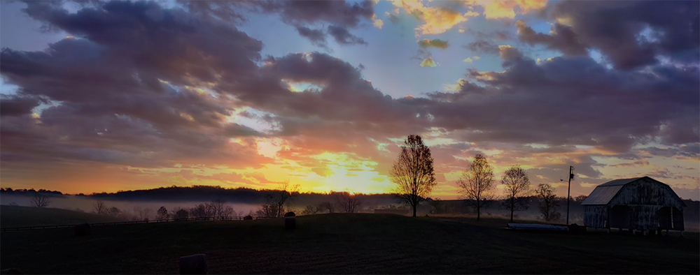 Sunrise in a rural country setting. Low fog hangs over the pasture, and a few trees and a barn are silhouetted against the yellow sun breaking over the horizon.