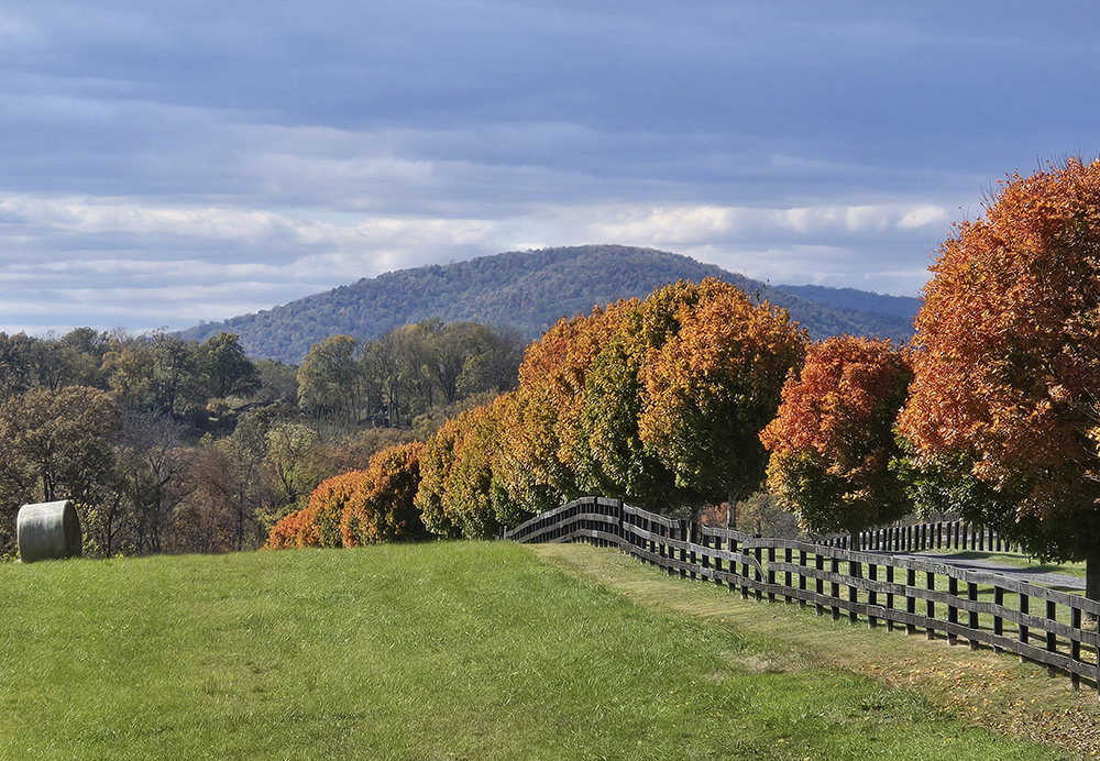 Fauquier Fall Updates 2025