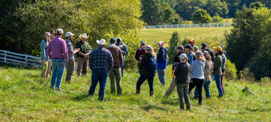 Virginia Grassland Bird Initiative offers financial incentives for delayed haying and summer pasture stockpiling