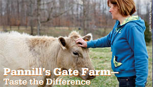 A woman pats a cow.