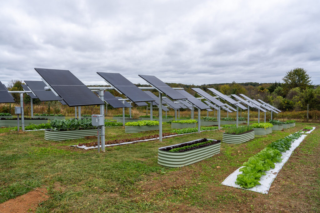 The Value of Solar Report