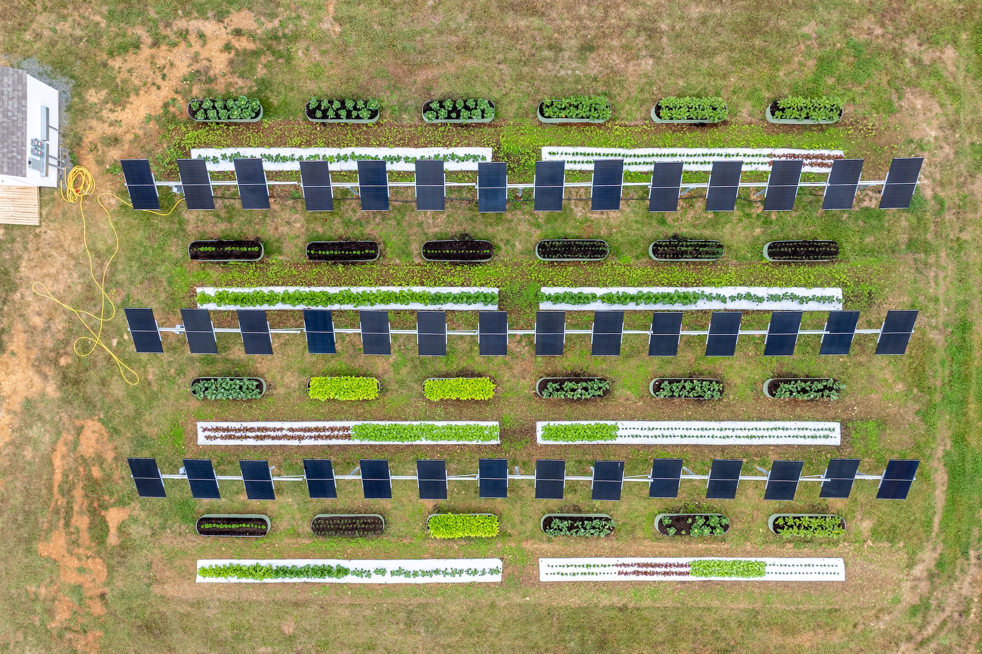 An aerial view of 3 rows of 42 solar panels, between which crops are planted both in the ground and in raised beds.