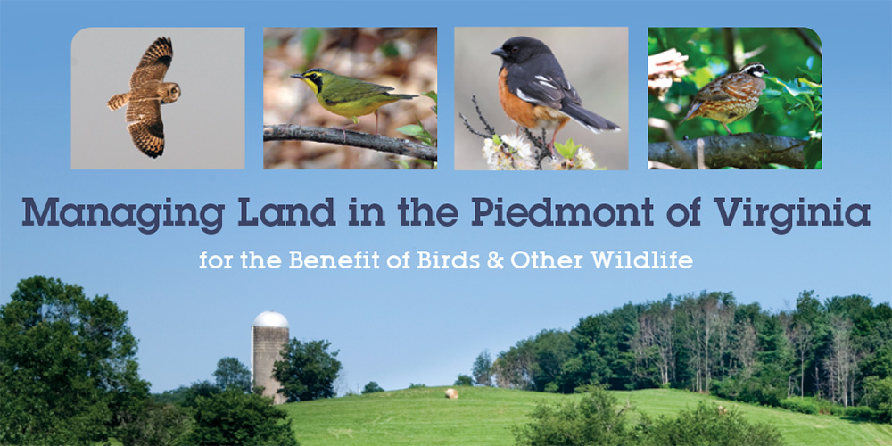 Managing Land in the Piedmont for the Benefit of Birds & Other Wildlife