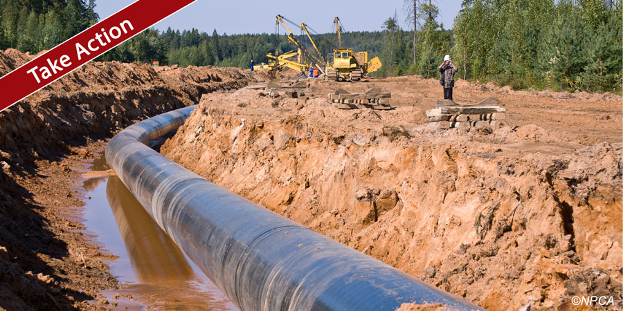 take action on pipeline legislation