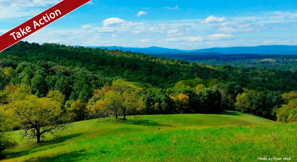 Two Fauquier County Budget Items to Support