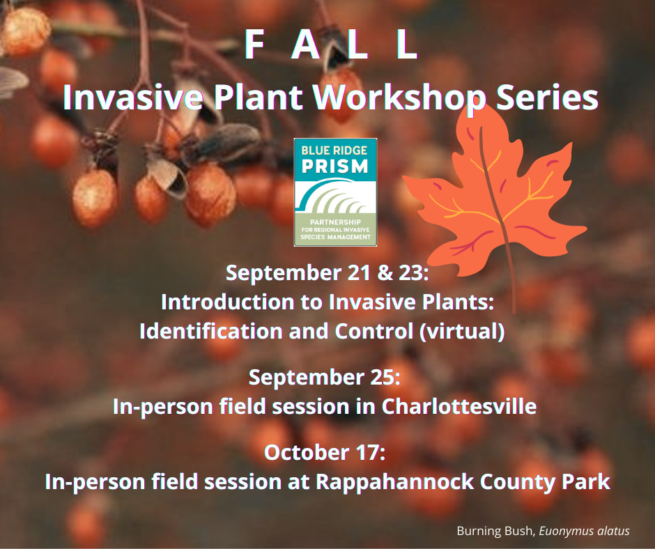 invasive plant workshop series graphic
