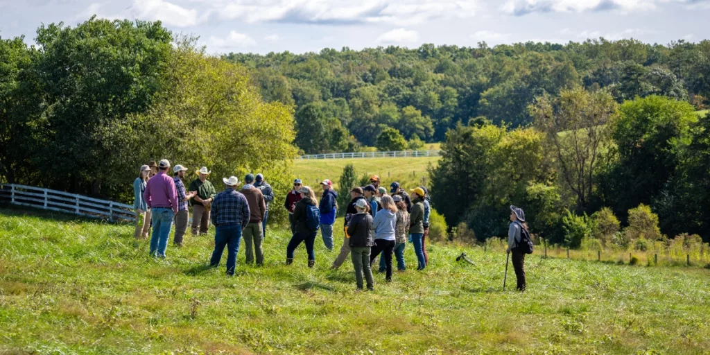 Virginia Grassland Bird Initiative offers financial incentives for delayed haying and summer pasture stockpiling