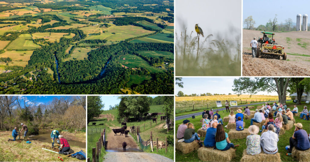 collage of photos: aerial of farmland, forest and a river; yellow bird perched on tall grass; one man walking alongside a green tractor tilling an empty field; two sets of people leaning over to plant trees next to a river and forest; a group of cows near a water crossing with fencing on either side; a crowd of people sitting on hay bales in a yard while they listen to a speaker