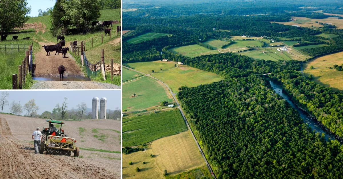 three photo collage - cows crossing a stream with a fence on either side; tractor tilling a field with silos in the background; aerial image of fields, forests and a river