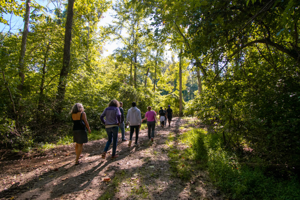 a group of people walk down a forested trail