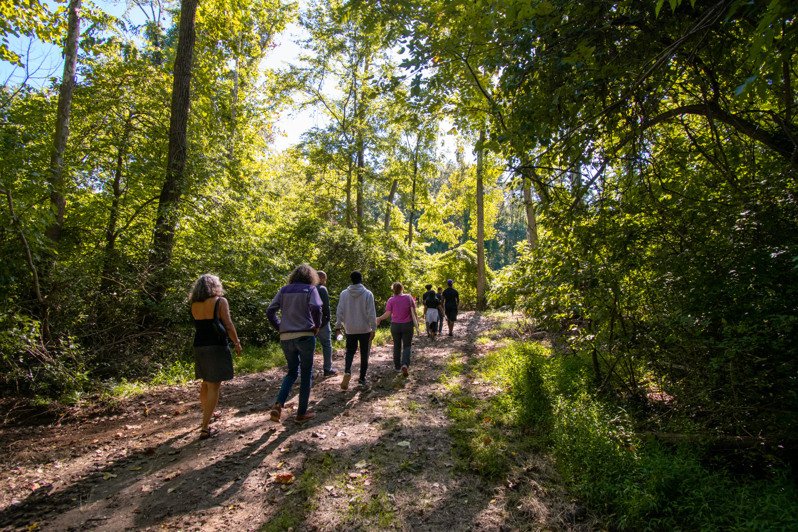 a group of people walk down a forested trail