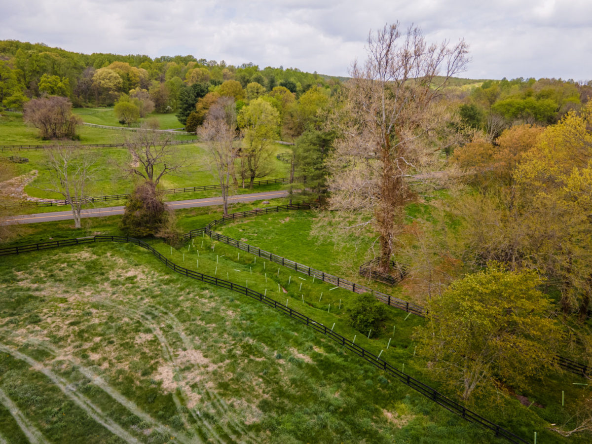 aerial image of a rural farm. there are tree tubes adjacent to a stream between two sets of fences