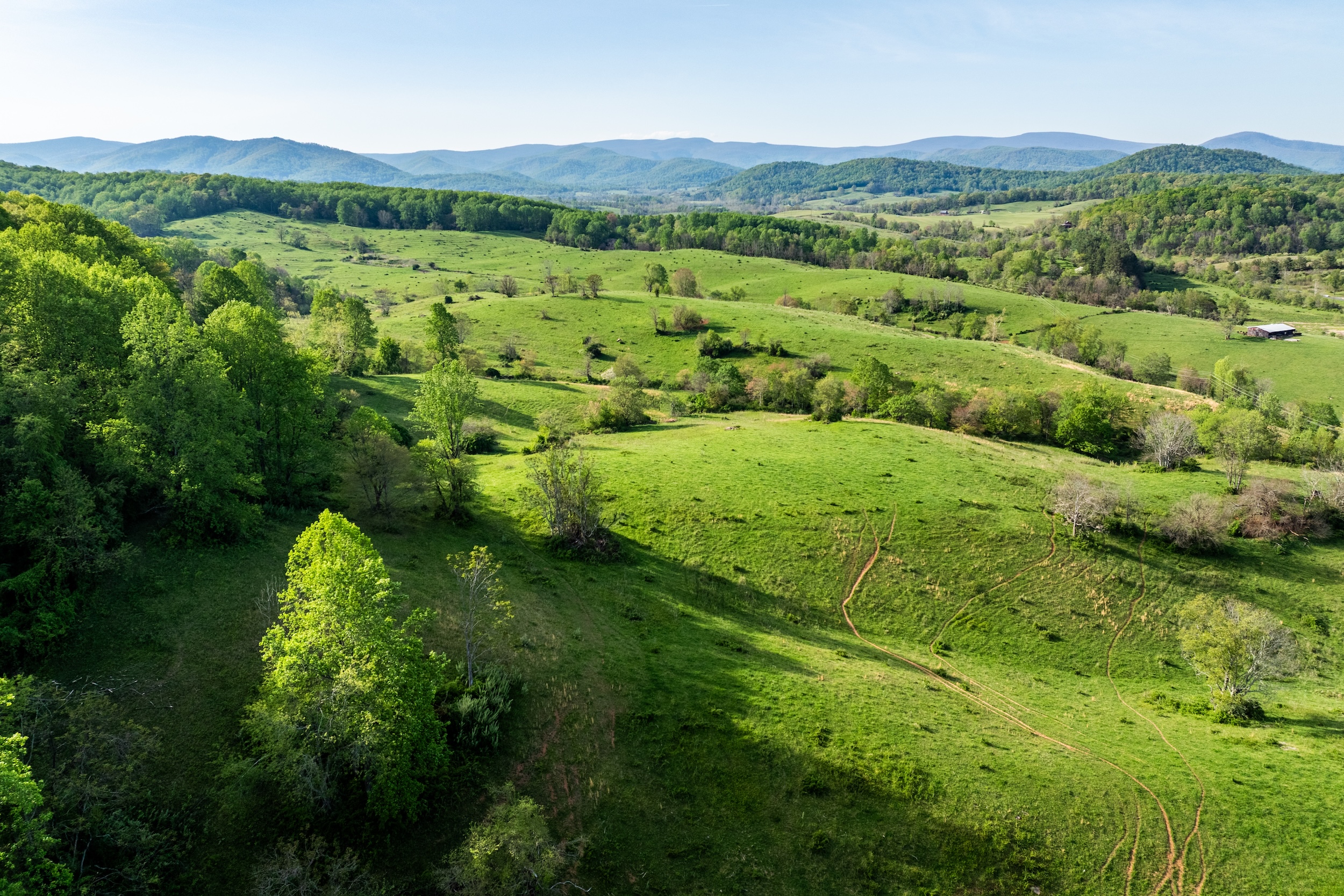 Rolling green farmland, dotted with trees.