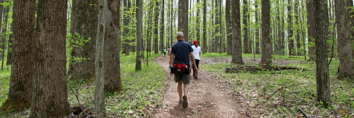 image of group of hikers on forested trail