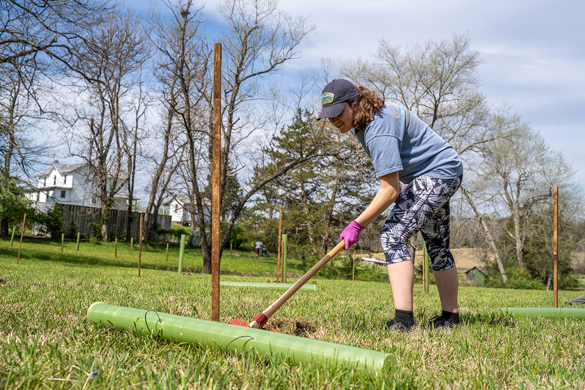 a woman rakes grass in a field to expose dirt for a tree