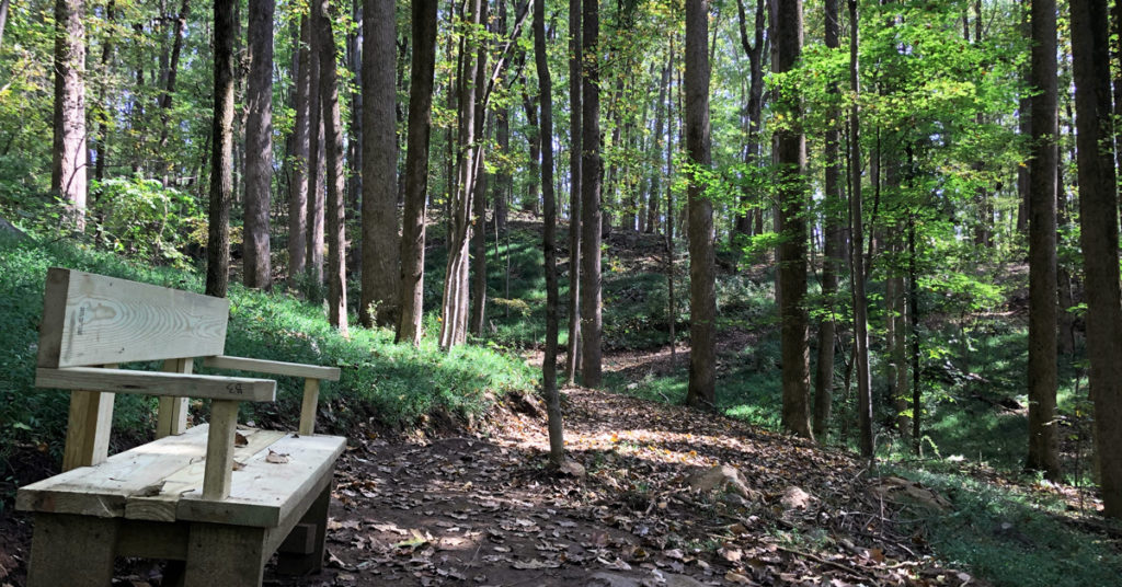 trail in heyward community forest