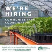 white "we're hiring community farm coordinator" text over an image of a tomato seedlings in a greenhouse