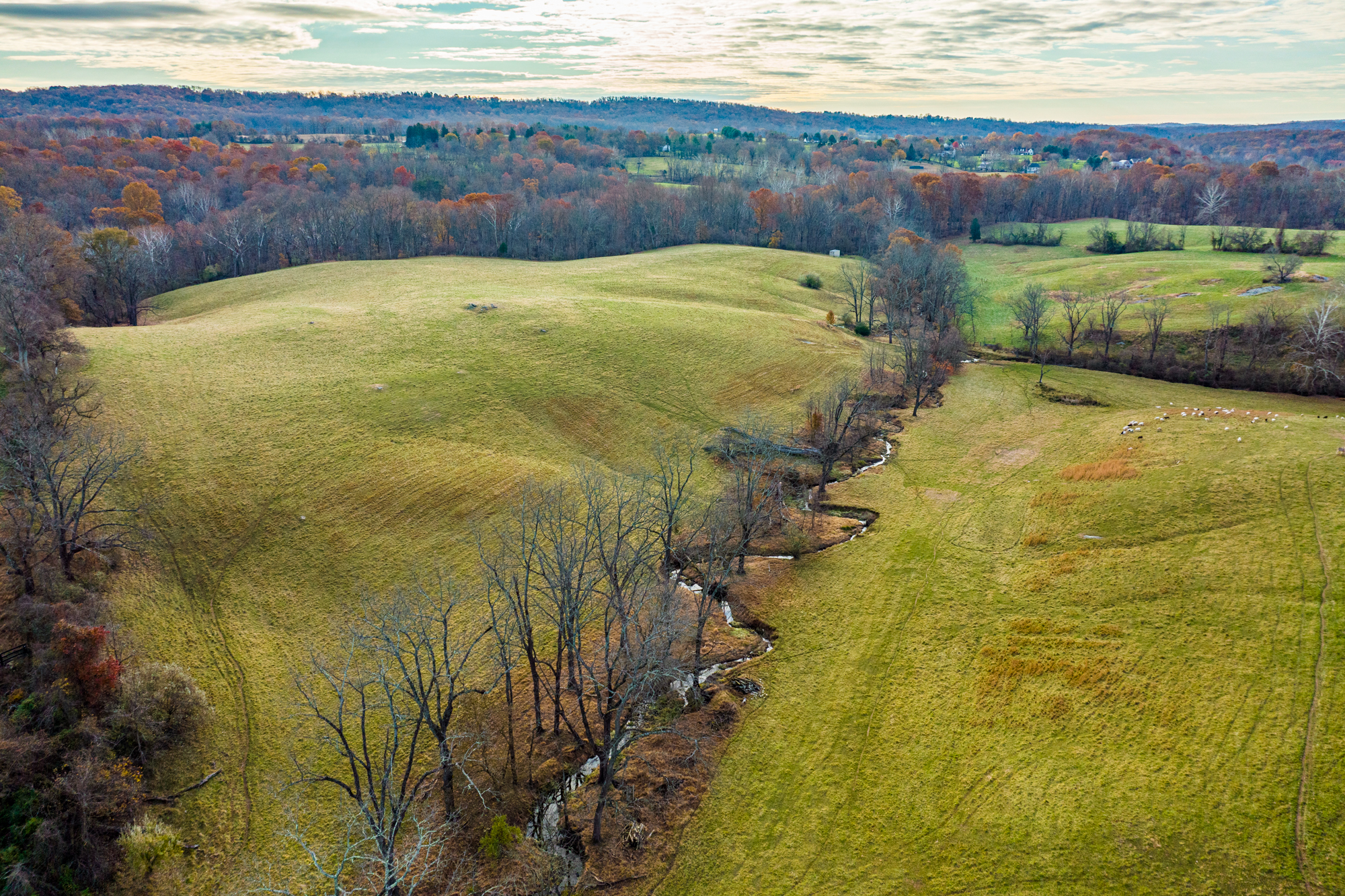 aerial view of a meandering stream through two fields in a rural landscape during autumn