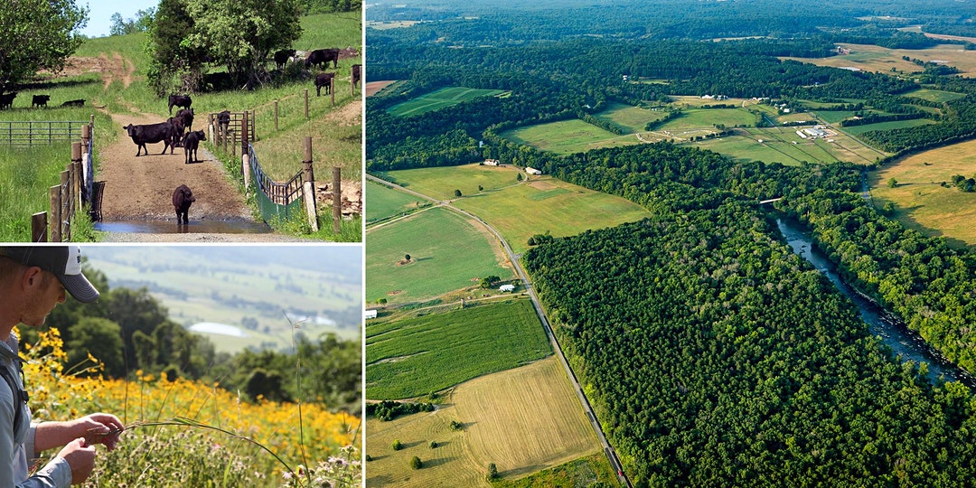 Fauquier Land & Farm Conservation (inar) The Piedmont